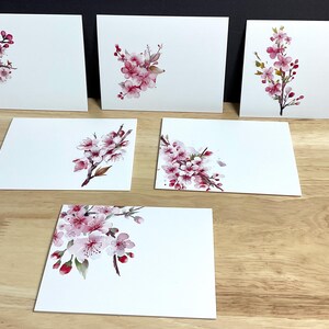Jeu de cartes Fleurs de cerisier , 6 cartes , Arbre , Printemps , Fleur , Rose , Floraison , Nature