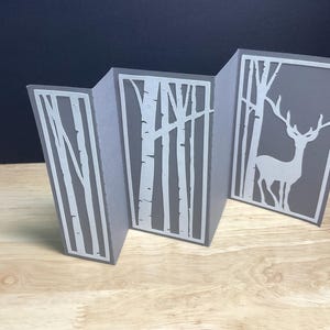 Cerf accordéon , Bois , Sauvage , Animal , Beau , Nature , Faune , Arbres