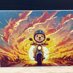 Carte chien, sauvage, balade, casque, moto, coucher de soleil, voyage, coffre-fort, amis, bonjour, tu me manques