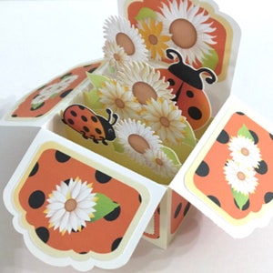 Carte boîte pop-up coccinelle, fleurs, jardin, rouge, blanc, famille, amis, cadeau, salut, tu me manques
