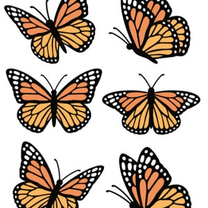 Stickers papillons , Mouche , Nature , Beau , Élégant , Liberté , Orange , Jaune