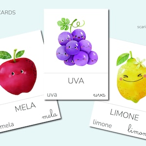 FLASH CARDS | Obst mit Bildern und Wörtern in Großbuchstaben, Kleinbuchstaben und Schreibschrift *DIGITALE Datei*
