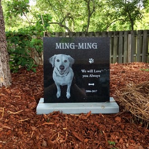 Pu&ograve; includere: Monumento commemorativo per animali domestici in granito nero con una foto di un cane bianco e l'iscrizione "Ming-Ming" con un'impronta di zampa. L'iscrizione recita anche "We will Love you Always" con un simbolo di osso e le date "2006-2017".