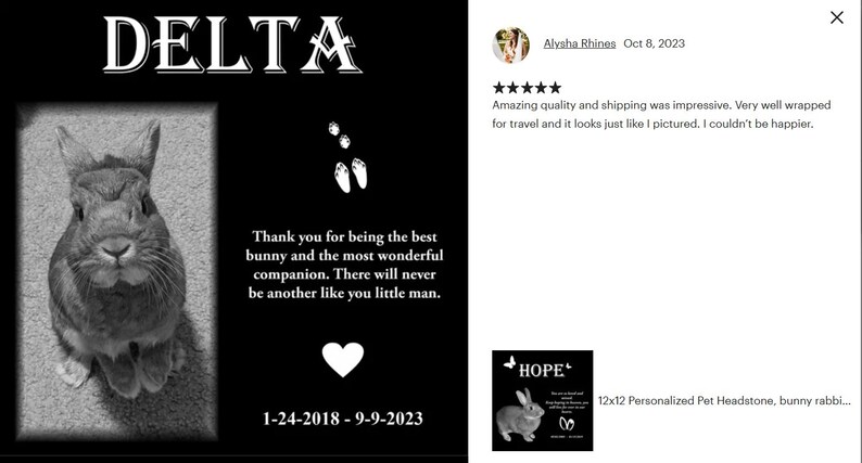 Pu&ograve; includere: Lapide in granito nero per animali domestici con una foto di un coniglio, il nome "DELTA" in alto e le date "1-24-2018 - 9-9-2023". L'iscrizione recita "Grazie per essere stato il coniglio migliore e il compagno pi&ugrave; meraviglioso. Non ci sar&agrave; mai nessuno come te, mio piccolo uomo."