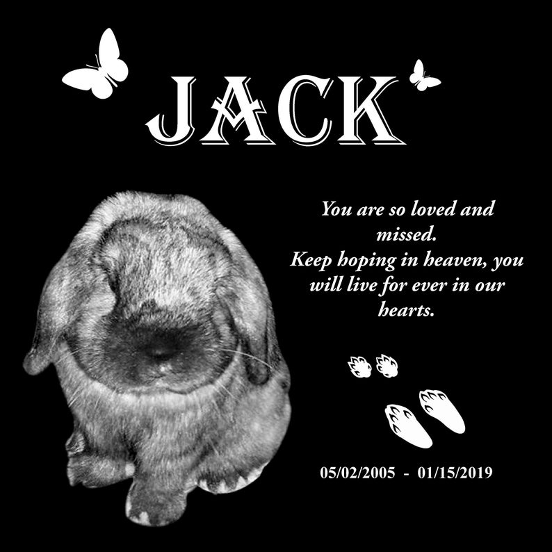Pu&ograve; includere: Immagine commemorativa in bianco e nero di un coniglio con il nome "JACK" in alto. Il testo sottostante recita "You are so loved and missed. Keep hoping in heaven, you will live for ever in our hearts. 05/02/2005 - 01/15/2019"