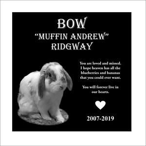 Pu&ograve; includere: Foto in bianco e nero di un coniglio con il testo "BOW "MUFFIN ANDREW" RIDGWAY" sopra il coniglio. Il testo sotto il coniglio dice "You are loved and missed. I hope heaven has all the blueberries and bananas that you could ever want. You will forever live in our hearts. 2007-2019"