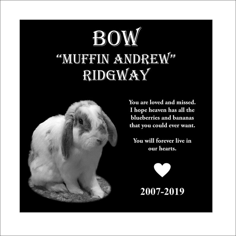 Pu&ograve; includere: Foto in bianco e nero di un coniglio con il testo "BOW "MUFFIN ANDREW" RIDGWAY" sopra il coniglio. Il testo sotto il coniglio dice "You are loved and missed. I hope heaven has all the blueberries and bananas that you could ever want. You will forever live in our hearts. 2007-2019"