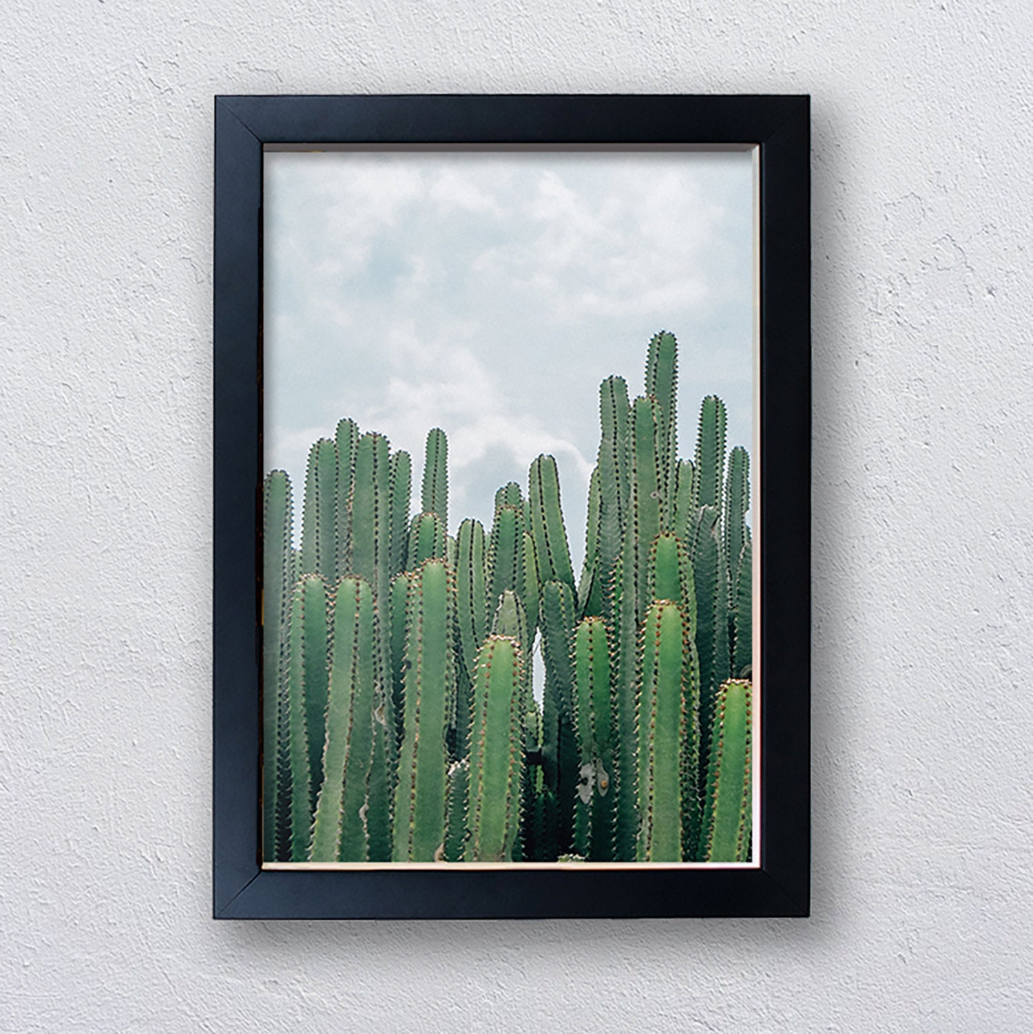 Desert Cactus Print Framed Wall Art house GIft Cactus Wall Etsy