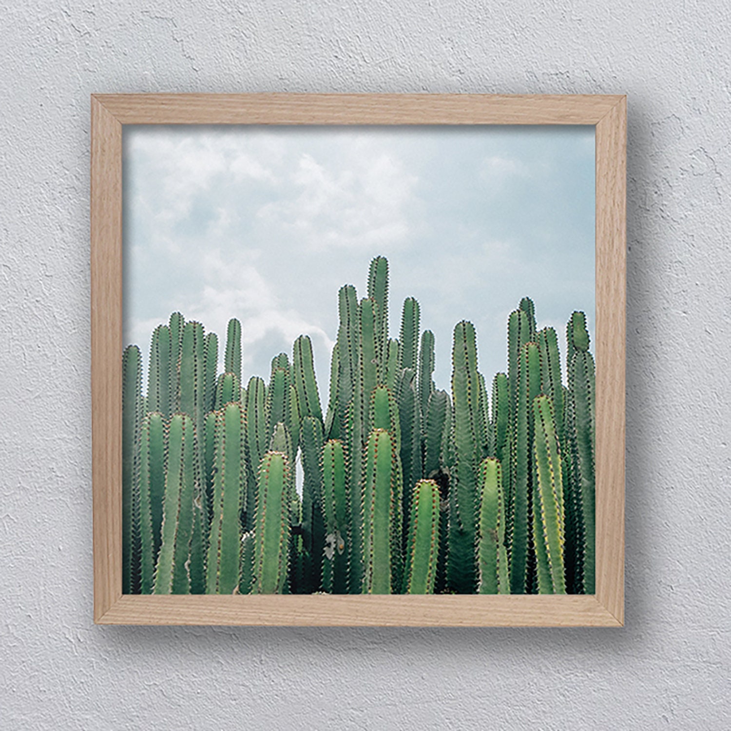 Desert Cactus Print Framed Wall Art house GIft Cactus Wall Etsy