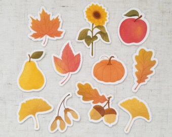 Set of 11 Small Autumn Botanicals Stickers. Yellow Ginkgo, Maple, Sunflower, Acorn, Pumpkin, Pear, Apple, Maple Seed Water-resistant Decals