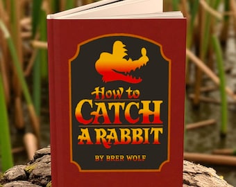 Splash Mountain How to Catch a Rabbit  Hardcover Journal
