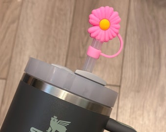 Straw Cover Toppers- Variety to choose from