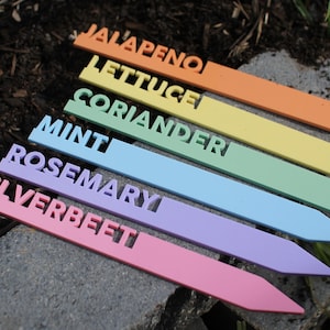 Set of Personalised Garden Markers  Custom Plant Names  Herb, Spice, Vegetable, Flower Labels  Colourful Acrylic Plant Stakes