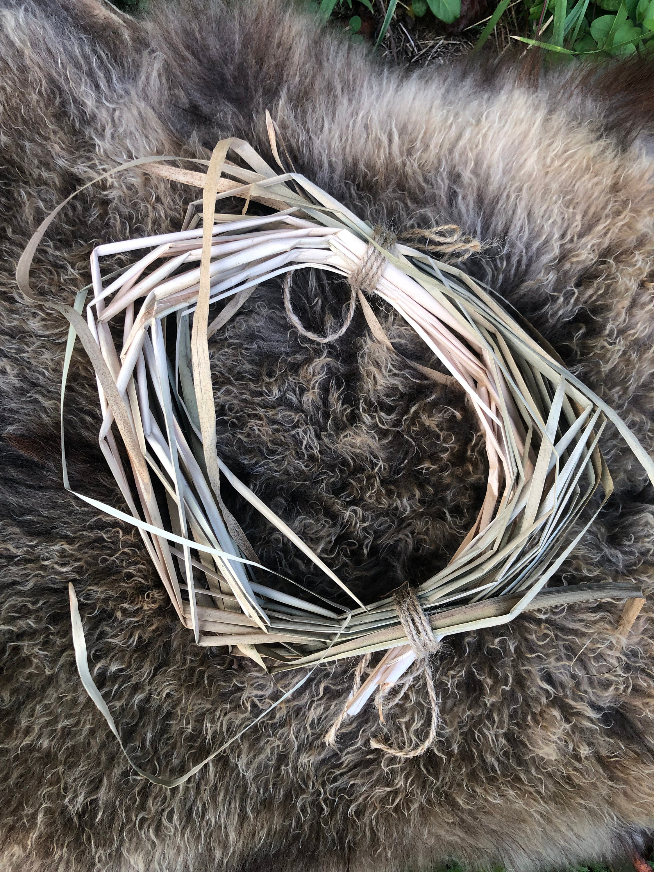 Dried Cattails for Weaving Wild Weaving Materials, Cattail Baskets Etsy