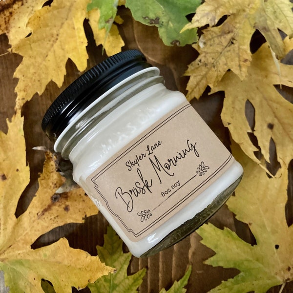 Brisk Morning Soy Candle - Crisp Morning Air | 100% Soy & Dye Free