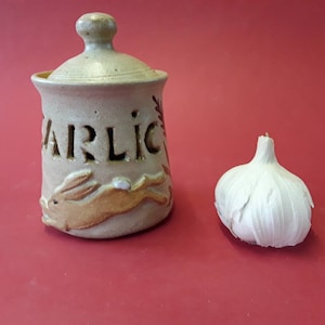 May include: A tan ceramic garlic keeper with a lid, featuring the word "GARLIC" cut out and a running rabbit design. A whole garlic bulb sits beside the keeper on a red surface.