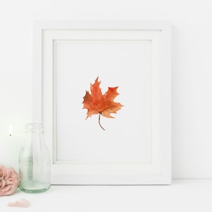 Fall Printables fall print printable wall art fall leaves thanksgiving print fall leaf print Autumn Leaves Fall Print leaf illustration art