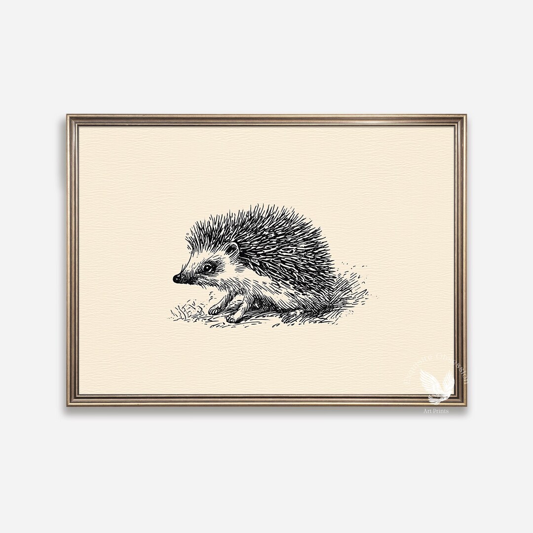 Vintage Hedgehog Illustration Print – Antique Sketch Woodland Art ...
