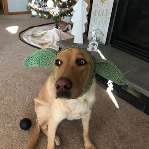 Baby Yoda Dog Hat Pattern crochet image 4