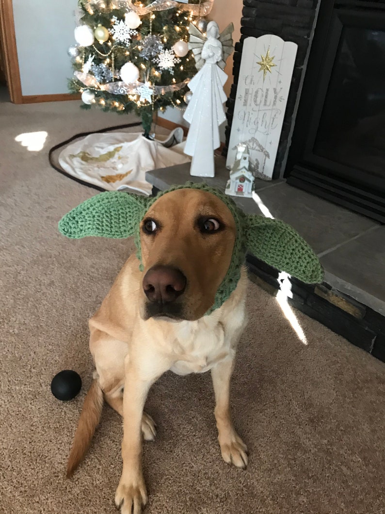 Baby Yoda Dog Hat Pattern crochet image 4