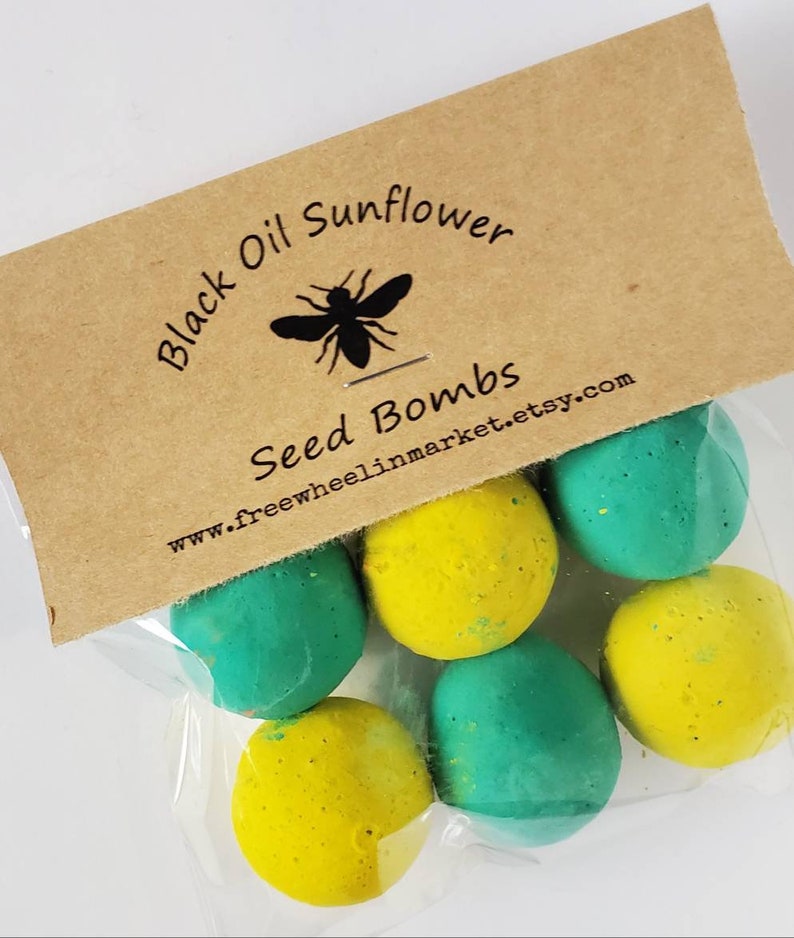 Black Oil Sunflower Seed Bombs Set of Six Seed Bombs USDA Etsy