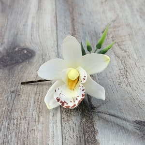 BOXED Tropical Cream White Cymbidium Orchid with Greenery Hair Pin - MATCHING Boutonnieres / Corsages