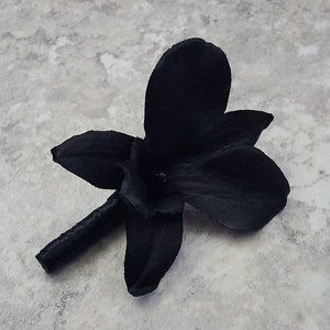 BOXED Pitch Black Galaxy Dendrobium Orchid Boutonniere - MATCHING Corsages