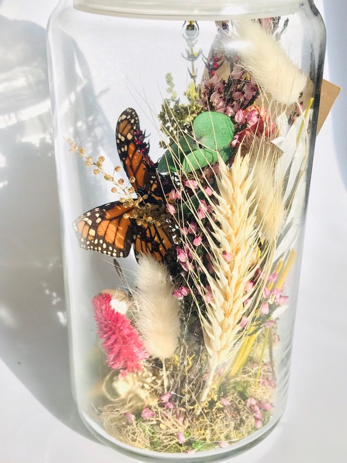 Real Preserved Monarch Butterfly Terrarium With Preserved Etsy