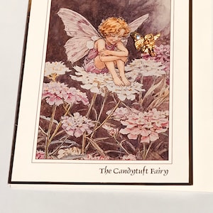 VERY RARE Vintage Cicely Barker Flower Fairies Candytuft Fairy original card and pin, Flower Fairies collectible brooch, vintage fairy