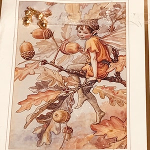 VERY RARE Vintage Cicely Barker Flower Fairies The Red Acorn fairy original card and pin, Flower Fairies collectible brooch,