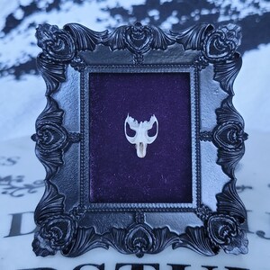May include: A small, ornate, black frame with a dark purple velvet backing. The frame holds a small, white animal skull fragment. The frame has decorative floral and scrollwork details. The overall aesthetic is gothic and macabre.
