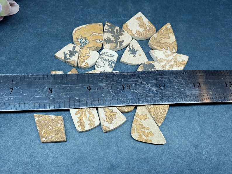 May include: A collection of flat, triangular and irregular shaped dendritic agate stones featuring tan, beige, and cream colors with dark brown or black fern-like inclusions. A stainless steel ruler is placed across the stones, showing a scale in inches.