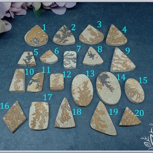 May include: Twenty flat, polished stone cabochons in various geometric shapes, including triangles, rectangles, and ovals. Each beige or tan stone features unique, dark brown, fern-like dendritic inclusions, labeled with light blue numbers 1 through 20.