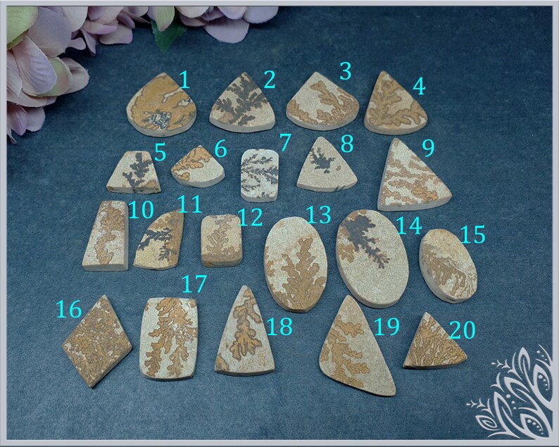 May include: Twenty flat, polished stone cabochons in various geometric shapes, including triangles, rectangles, and ovals. Each beige or tan stone features unique, dark brown, fern-like dendritic inclusions, labeled with light blue numbers 1 through 20.