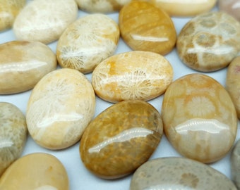 Agatized beige coral fossil cabochon - 16-18 mm - oval