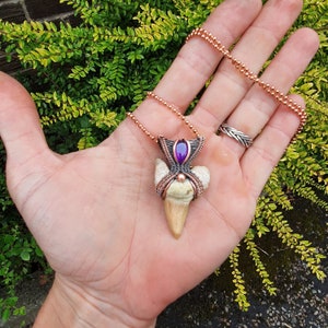 K&ouml;nnte beinhalten: Ein Anh&auml;nger aus Kupferdraht, der um einen versteinerten Zahn gewickelt ist, mit einem violetten Edelstein in der Mitte. Der Anh&auml;nger ist an einer Kupferkette befestigt.