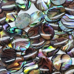 Könnte beinhalten: Eine Sammlung von irisierenden Abalone-Muschel-Cabochons in verschiedenen Brauntönen, Grün- und Violetttönen. Die Cabochons sind oval geformt und haben eine glatte, polierte Oberfläche.