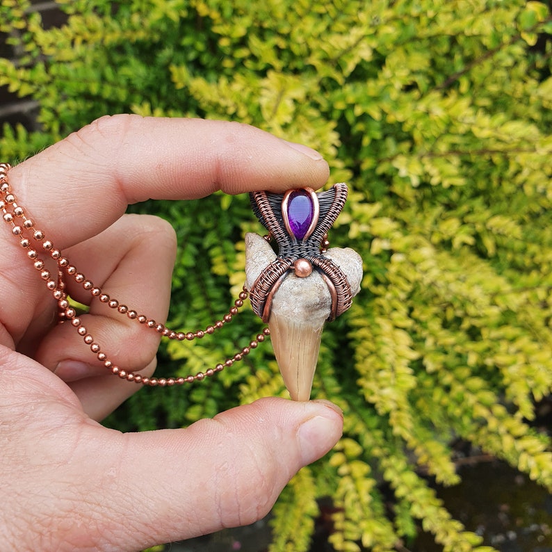 K&ouml;nnte beinhalten: Ein Anh&auml;nger aus Kupferdraht, der um einen versteinerten Zahn gewickelt ist, mit einem violetten Edelstein in der Mitte. Der Anh&auml;nger ist an einer Kupferkette befestigt.