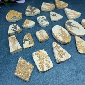 May include: A collection of flat, polished dendritic agate stones in various geometric shapes. Each piece features a light beige or cream-colored base with intricate, branching, fern-like patterns in shades of dark brown, black, and golden yellow.