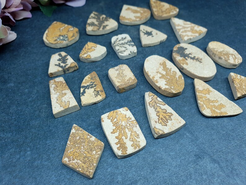 May include: A collection of flat, polished dendritic agate stones in various geometric shapes. Each piece features a light beige or cream-colored base with intricate, branching, fern-like patterns in shades of dark brown, black, and golden yellow.