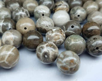 Coral fossil - drilled focal bead - round - 12 mm