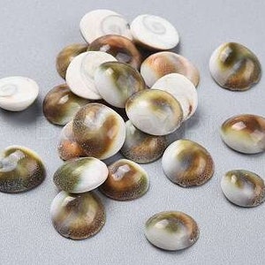 Könnte beinhalten: Eine Sammlung von braunen und weißen Muscheln mit einem Spiralmuster. Die Muscheln sind glatt und glänzend und haben ein natürliches, organisches Aussehen.