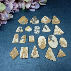 May include: A collection of twenty polished dendritic agate cabochons in various geometric shapes including triangles, ovals, and rectangles. Each stone features a light beige base with intricate, fern-like brown and black mineral inclusions.