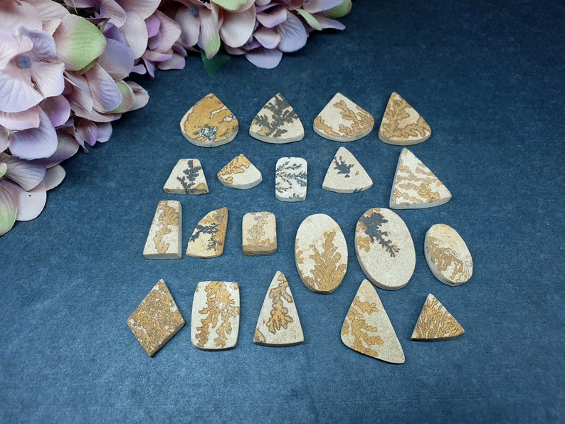 May include: A collection of twenty polished dendritic agate cabochons in various geometric shapes including triangles, ovals, and rectangles. Each stone features a light beige base with intricate, fern-like brown and black mineral inclusions.