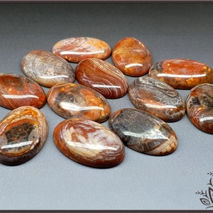 May include: A collection of eleven polished oval cabochons featuring a mix of earthy tones including deep brown, burnt orange, cream, and charcoal grey. Each stone displays unique natural banding, intricate web-like patterns, and a smooth, glossy finish.