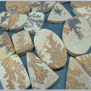 May include: A collection of flat, polished stones in various shapes including ovals, rectangles, and triangles. Each beige stone features distinct, dark brown or black dendritic fern-like patterns across the surface, creating a natural contrast.