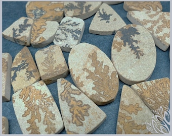 Cabochon de dendrites Psilomélance