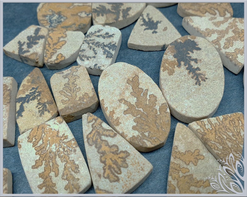 May include: A collection of flat, polished stones in various shapes including ovals, rectangles, and triangles. Each beige stone features distinct, dark brown or black dendritic fern-like patterns across the surface, creating a natural contrast.