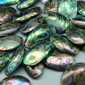 Abalone gebohrt - oval - 20 - 26 mm
