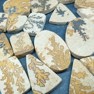 May include: A collection of flat, polished stones in various shapes including ovals, rectangles, and triangles. Each beige stone features intricate, dark brown or black dendritic fern-like patterns that resemble branching trees or mossy growths.